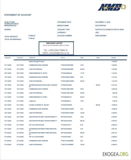 Relevé de compte de la Zimbabwe NMB Bank Modèle Word et PDF